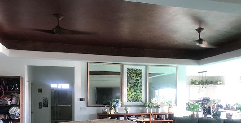 Decorative Ceiling Finishing, project photograph 1